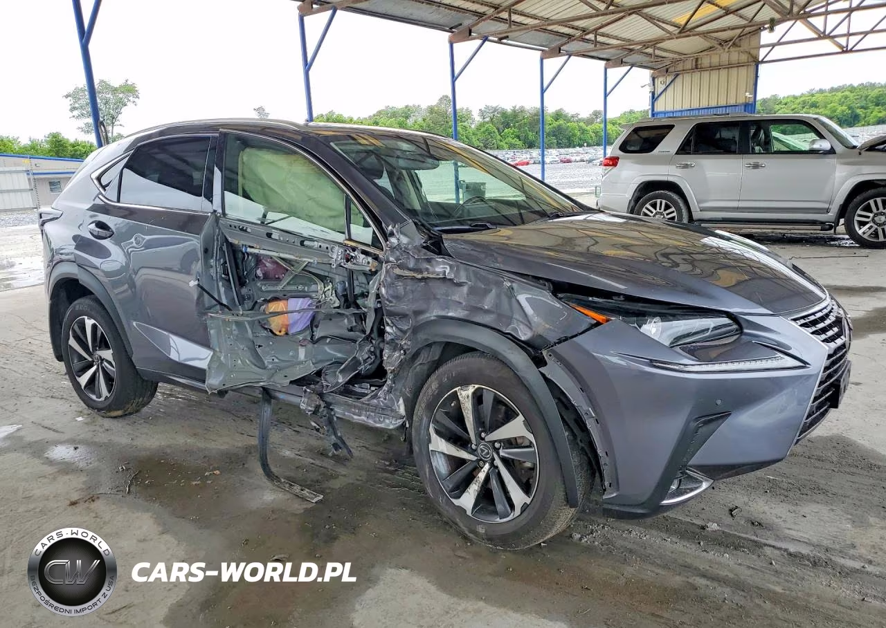 2021 Lexus Nx 300 Base VIN:JTJGARDZ1M2245955 - 4