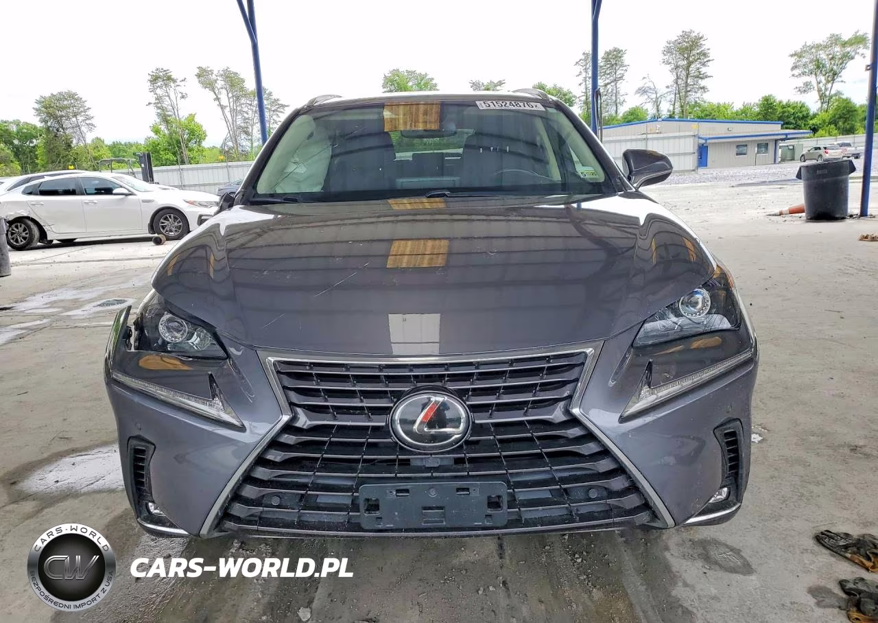 2021 Lexus Nx 300 Base VIN:JTJGARDZ1M2245955 - 5