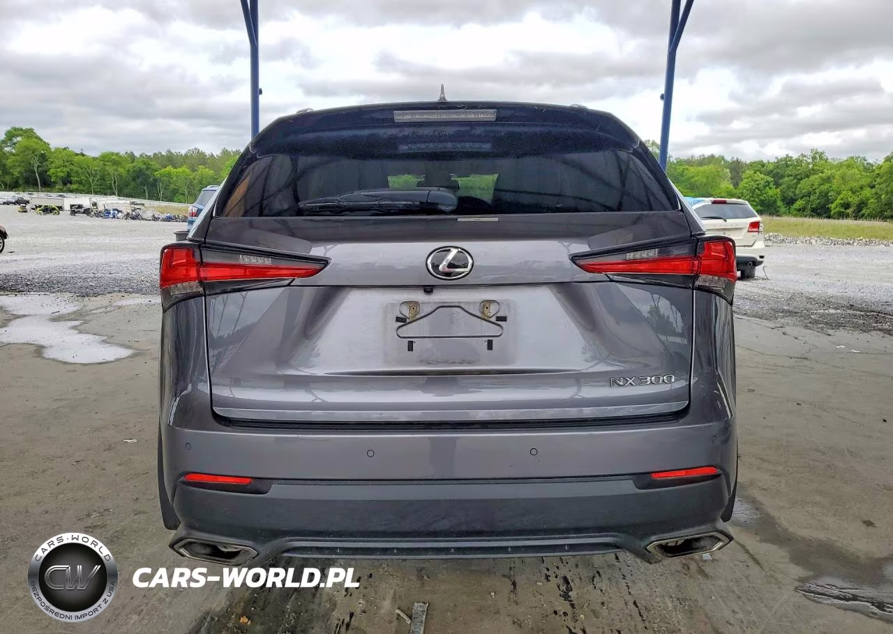 2021 Lexus Nx 300 Base VIN:JTJGARDZ1M2245955 - 6