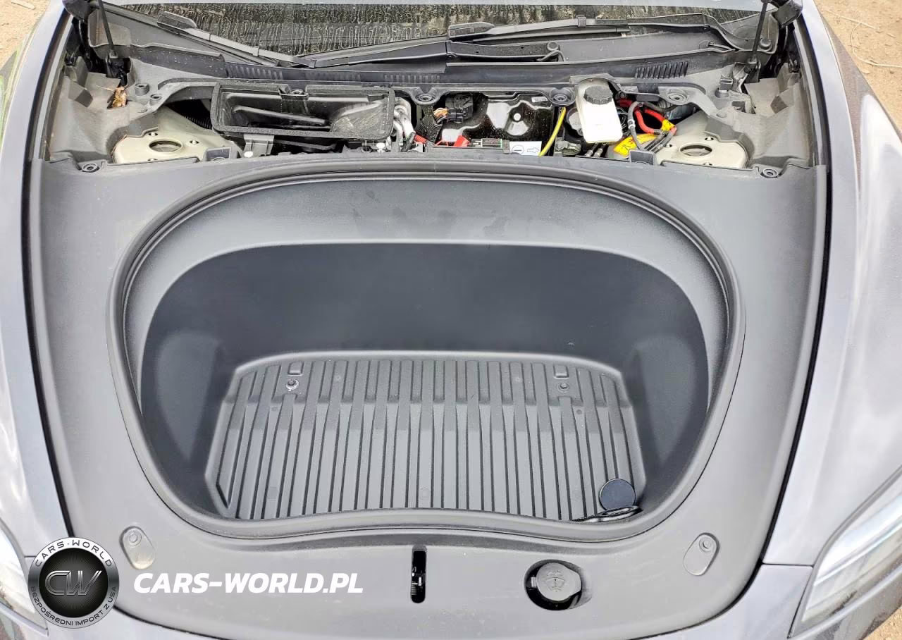 2025 Tesla Model 3 VIN:5YJ3E1EA3SF916181 - 11