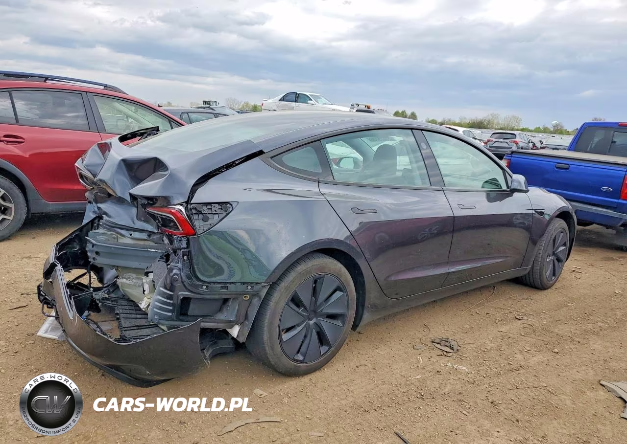 2025 Tesla Model 3 VIN:5YJ3E1EA3SF916181 - 3