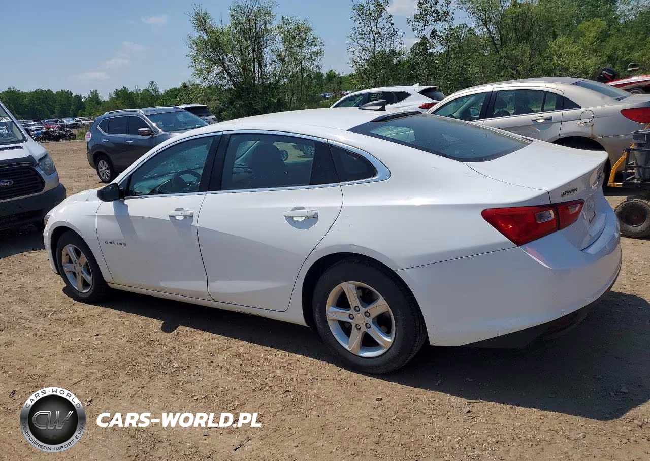 2019 Chevrolet Malibu Ls VIN:1G1ZB5ST6KF204610 - 2