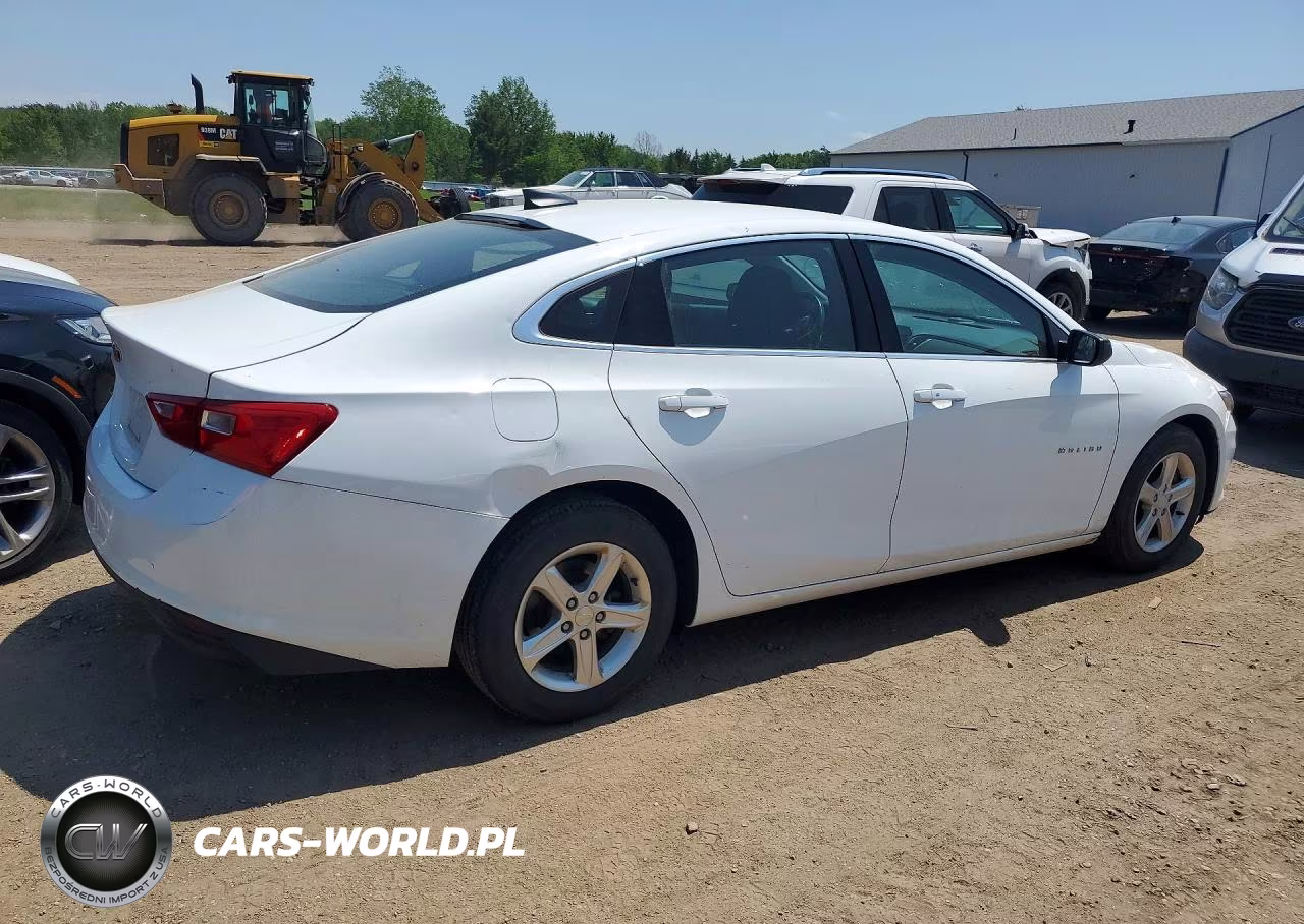 2019 Chevrolet Malibu Ls VIN:1G1ZB5ST6KF204610 - 3