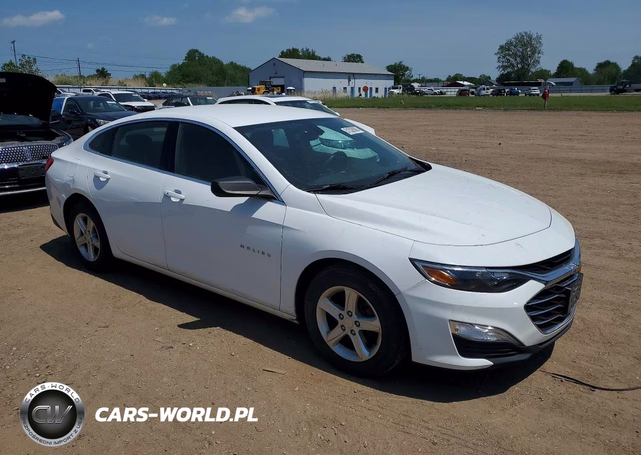 2019 Chevrolet Malibu Ls VIN:1G1ZB5ST6KF204610 - 4
