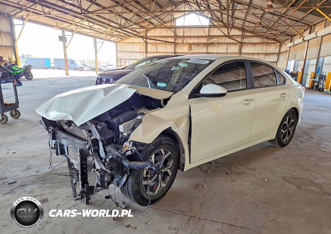 2019 Kia Forte Lxs