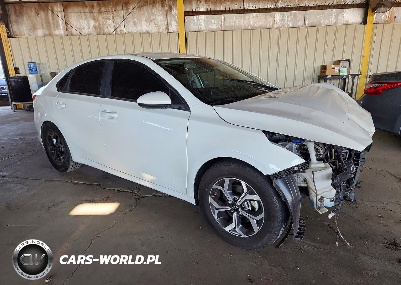 2019 Kia Forte Lxs VIN:3KPF24AD4KE135991 - 4