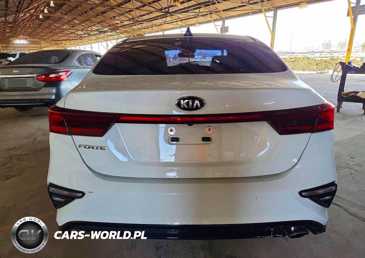 2019 Kia Forte Lxs VIN:3KPF24AD4KE135991 - 6