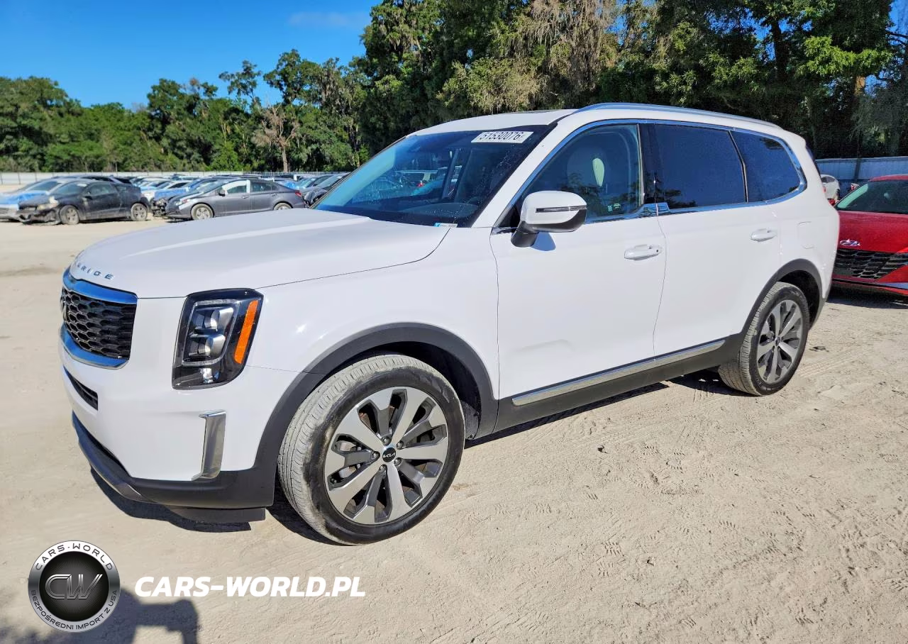 2022 Kia Telluride Ex VIN:5XYP34HC1NG319310 - 1