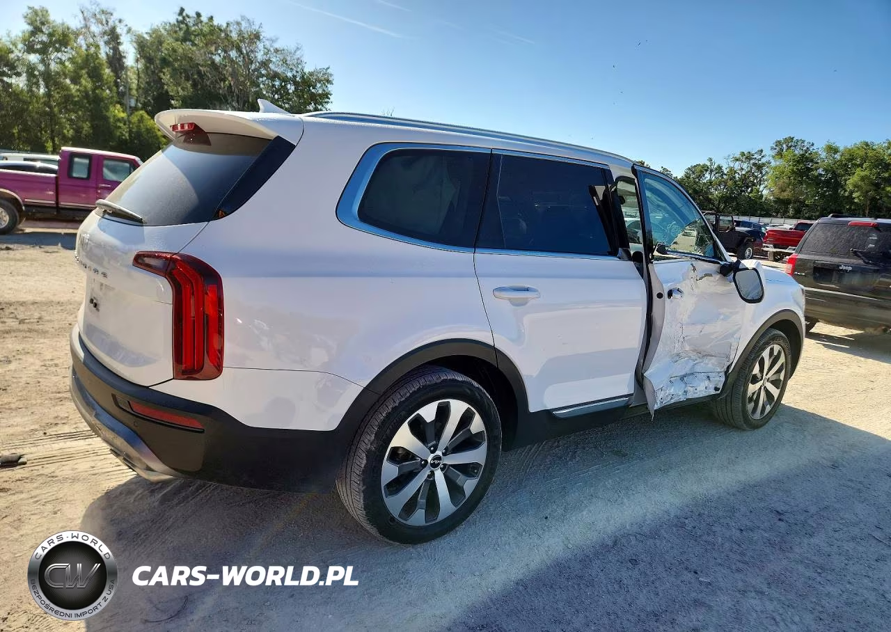 2022 Kia Telluride Ex VIN:5XYP34HC1NG319310 - 3
