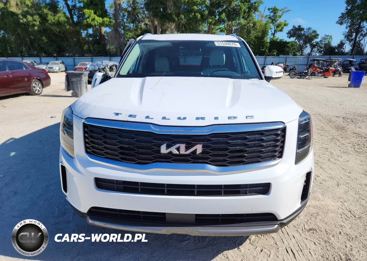 2022 Kia Telluride Ex VIN:5XYP34HC1NG319310 - 5