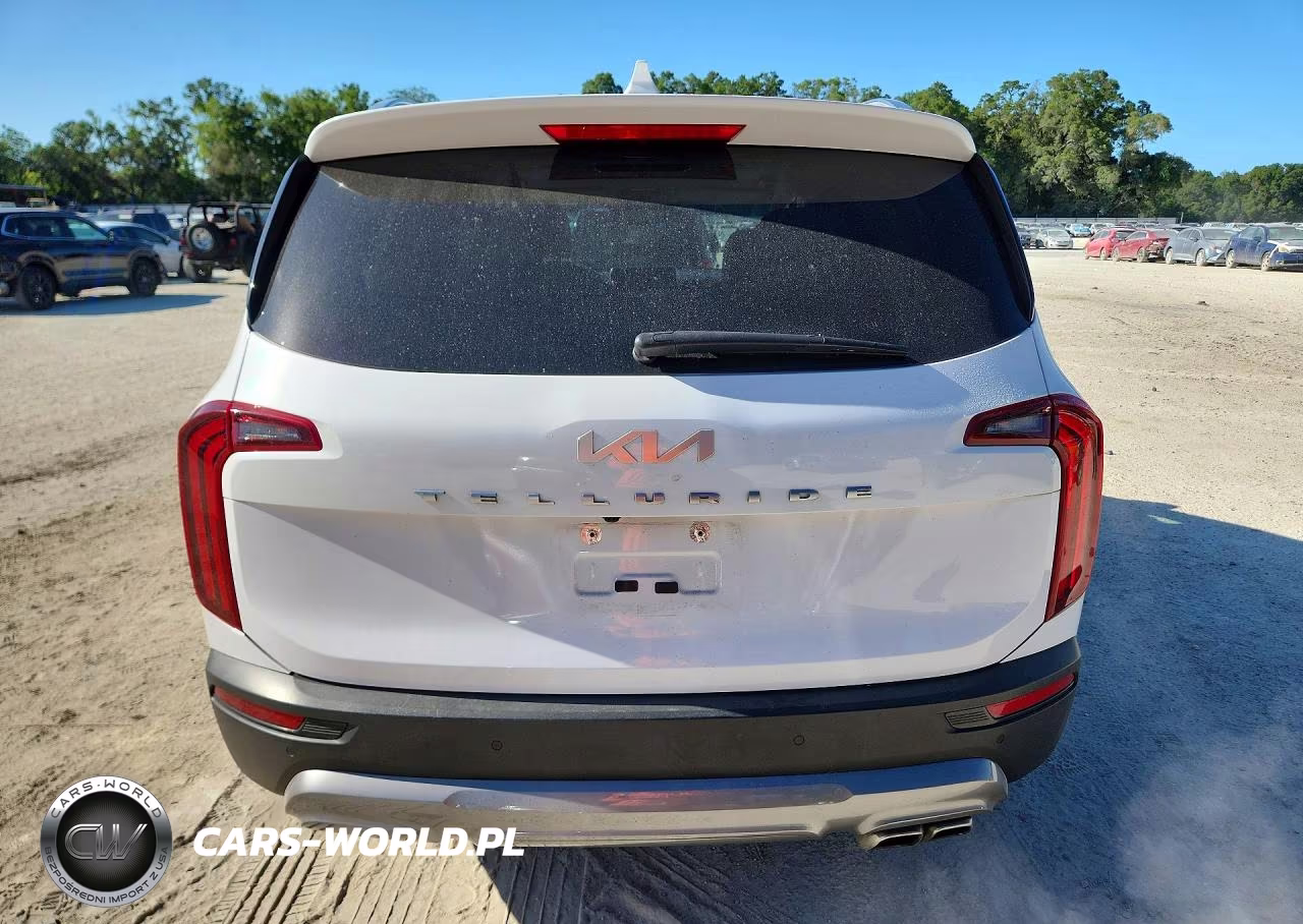2022 Kia Telluride Ex VIN:5XYP34HC1NG319310 - 6