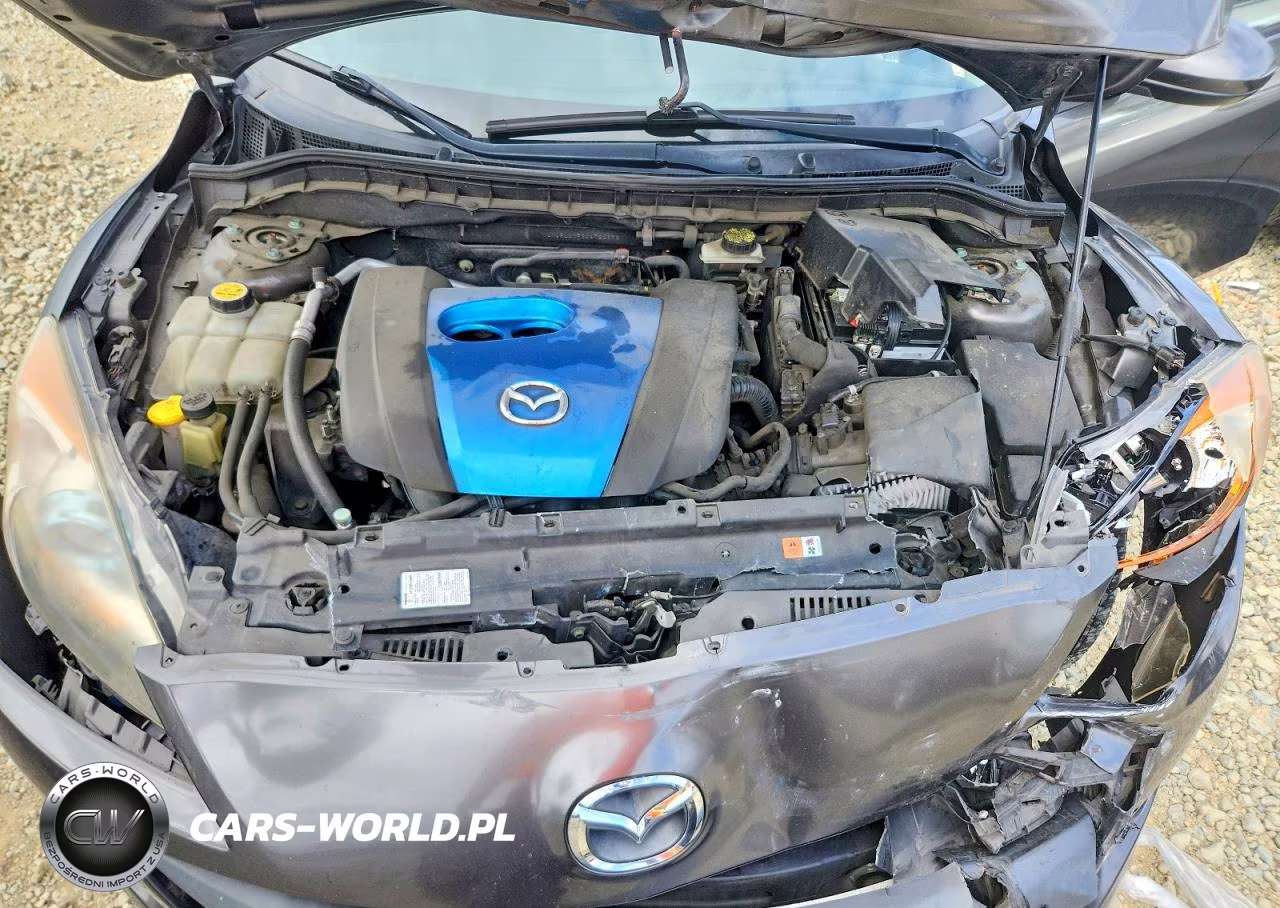 2013 Mazda 3 I VIN:JM1BL1MP6D1721579 - 11