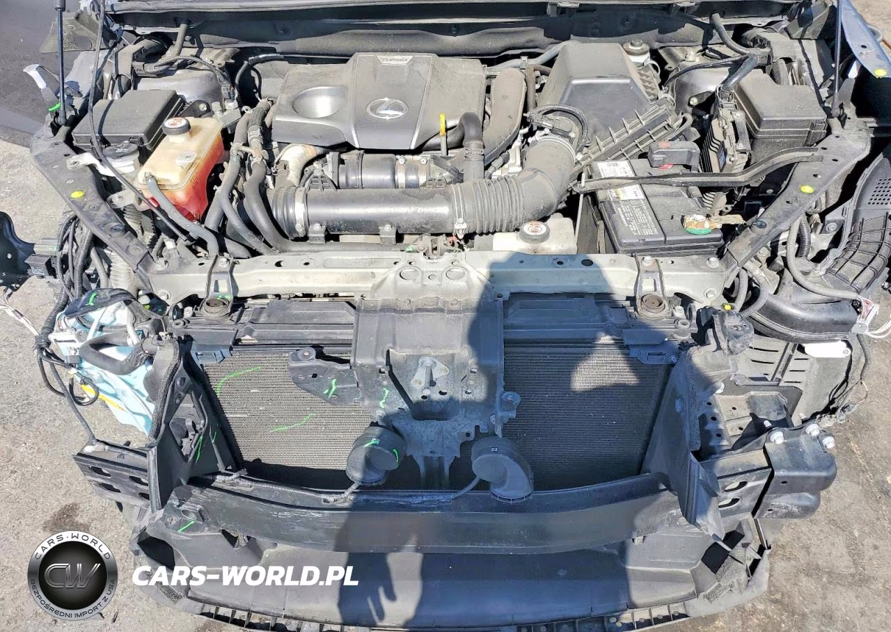 2020 Lexus Nx 300 F Sport VIN:JTJSARBZ3L5009611 - 11