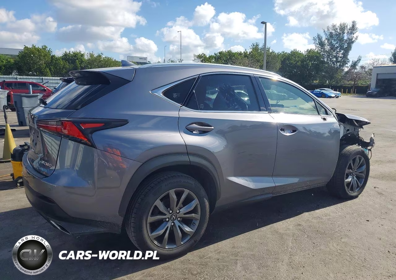2020 Lexus Nx 300 F Sport VIN:JTJSARBZ3L5009611 - 3