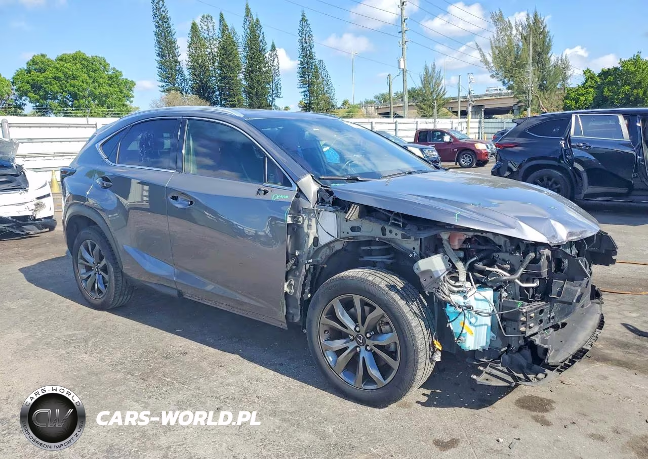 2020 Lexus Nx 300 F Sport VIN:JTJSARBZ3L5009611 - 4