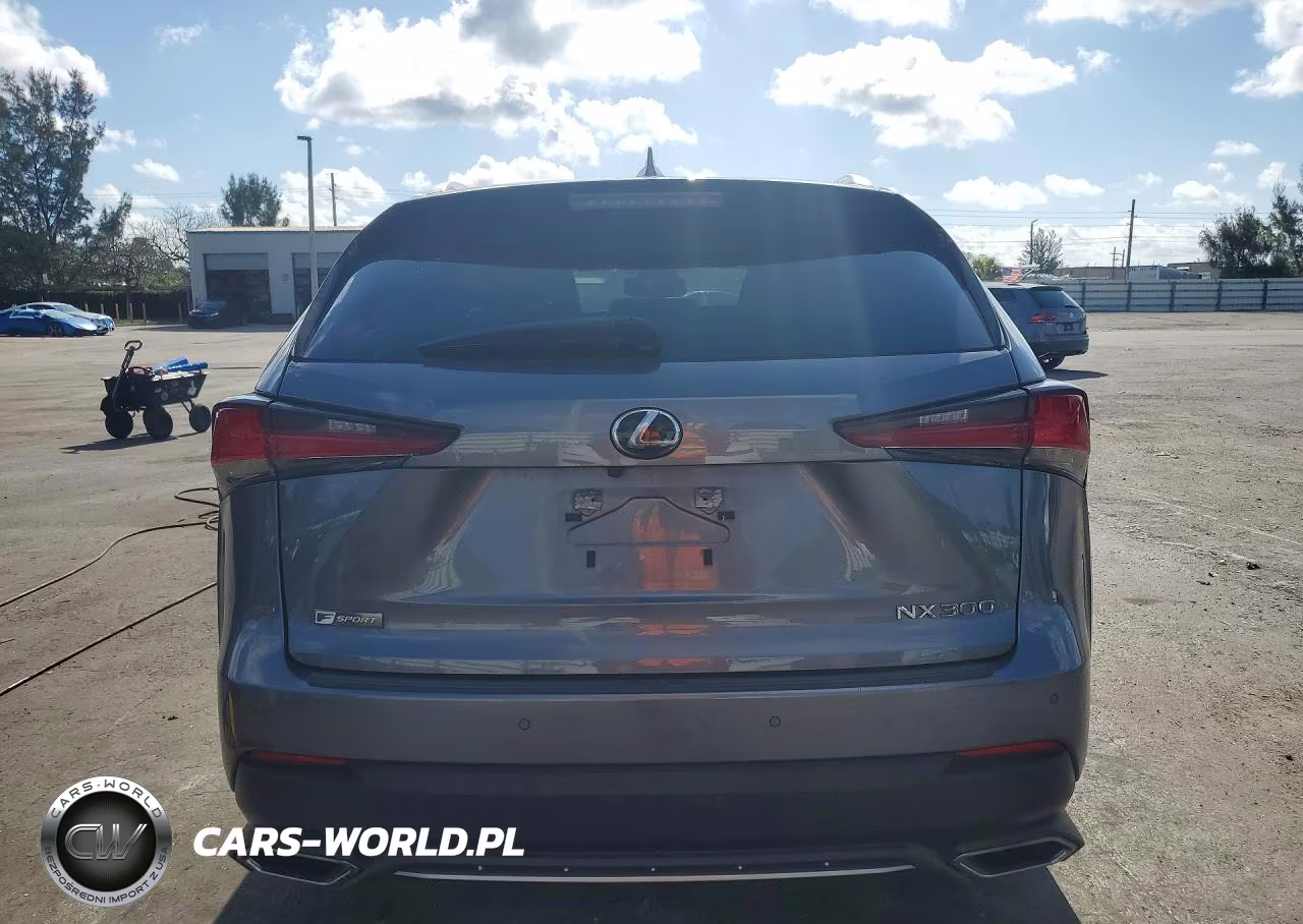 2020 Lexus Nx 300 F Sport VIN:JTJSARBZ3L5009611 - 6