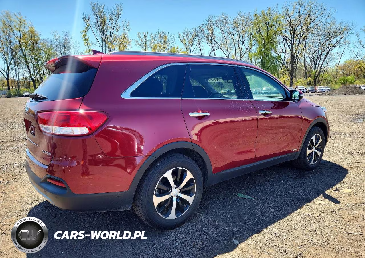 2017 Kia Sorento Ex VIN:5XYPHDA1XHG190157 - 3