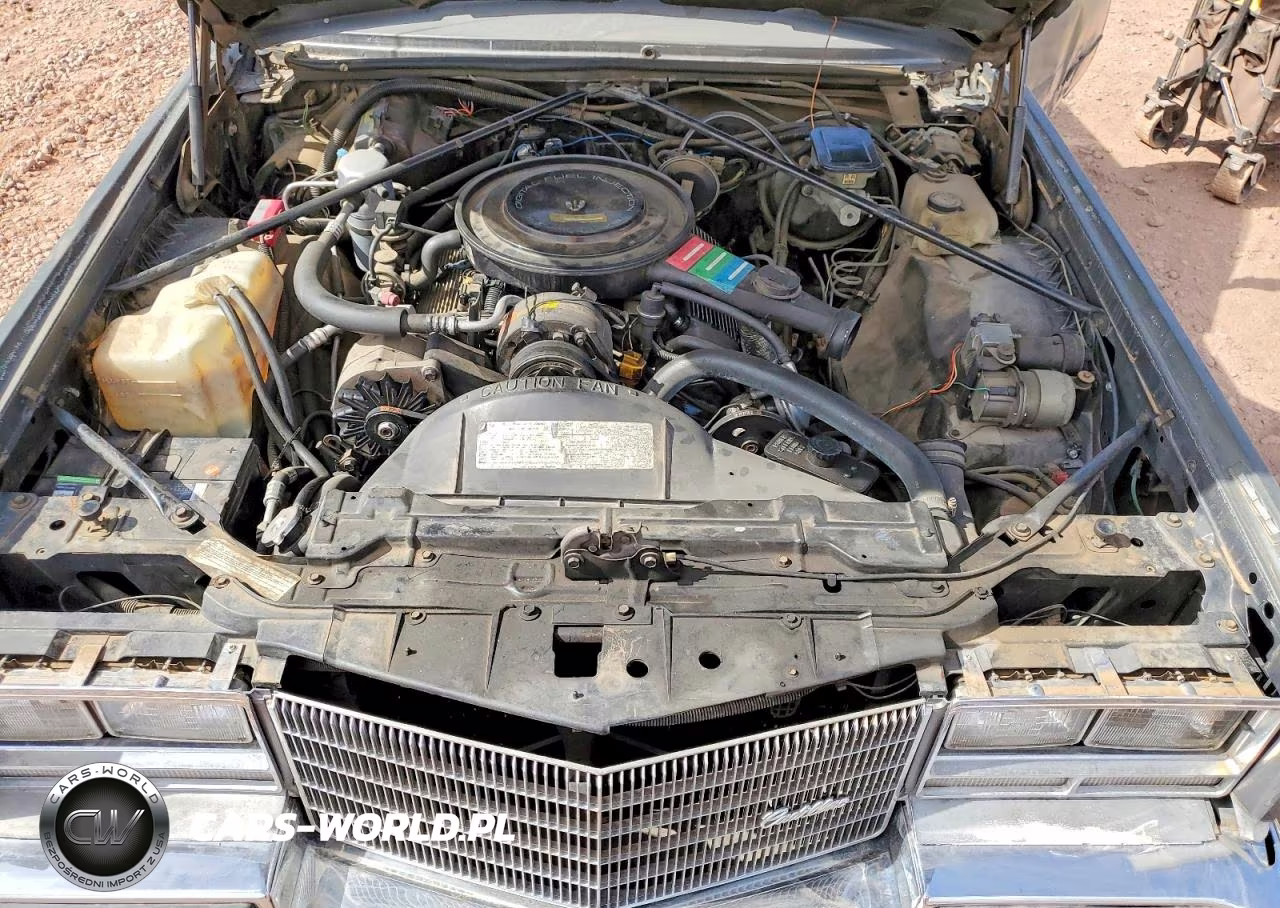 1985 Cadillac Eldorado VIN:1G6EL5785FE633727 - 11