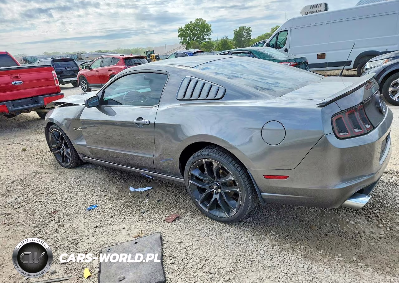 2014 Ford Mustang Gt VIN:1ZVBP8CF3E5207718 - 2