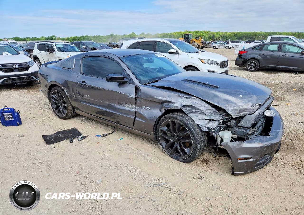2014 Ford Mustang Gt VIN:1ZVBP8CF3E5207718 - 4