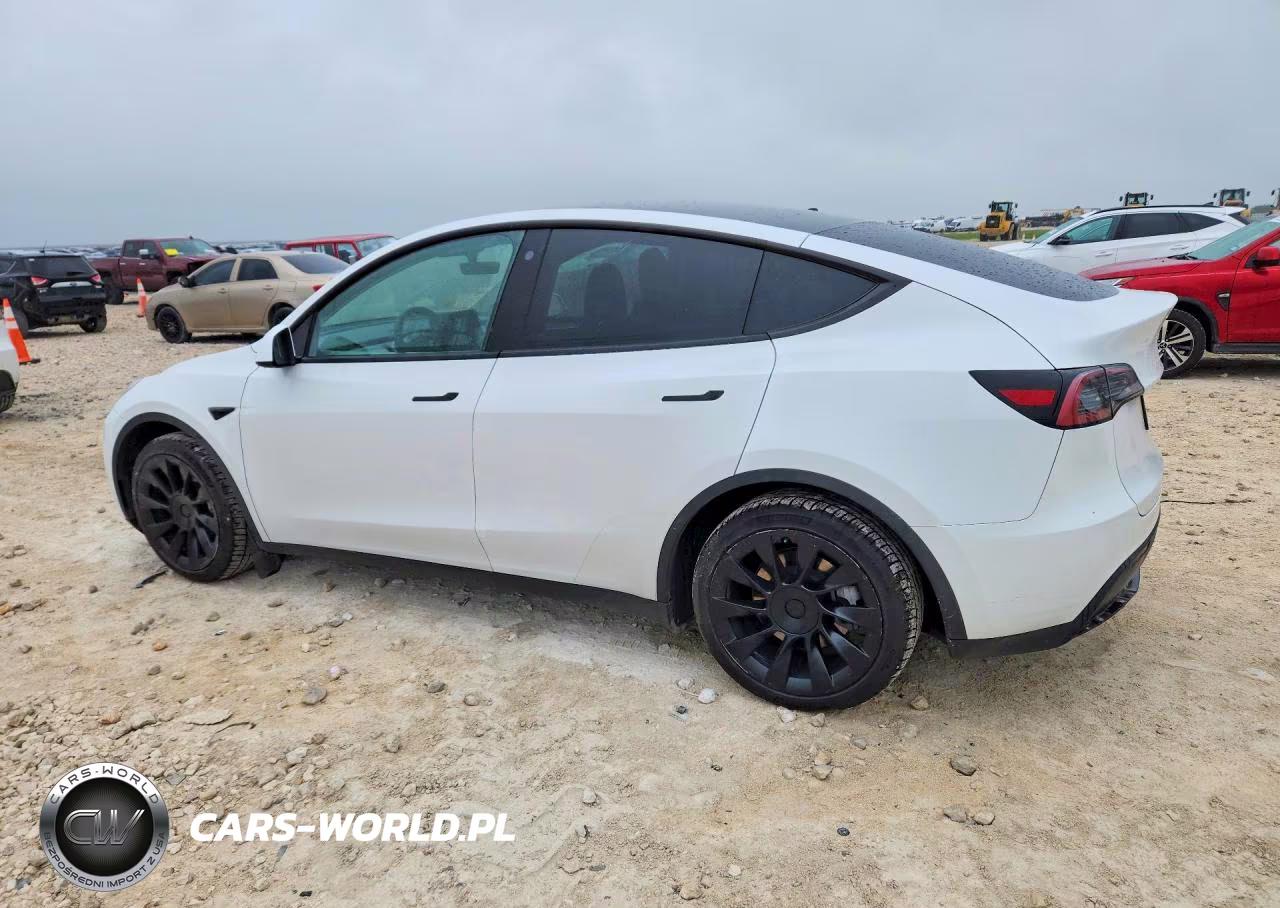 2023 Tesla Model Y VIN:7SAYGAEE8PF692239 - 2