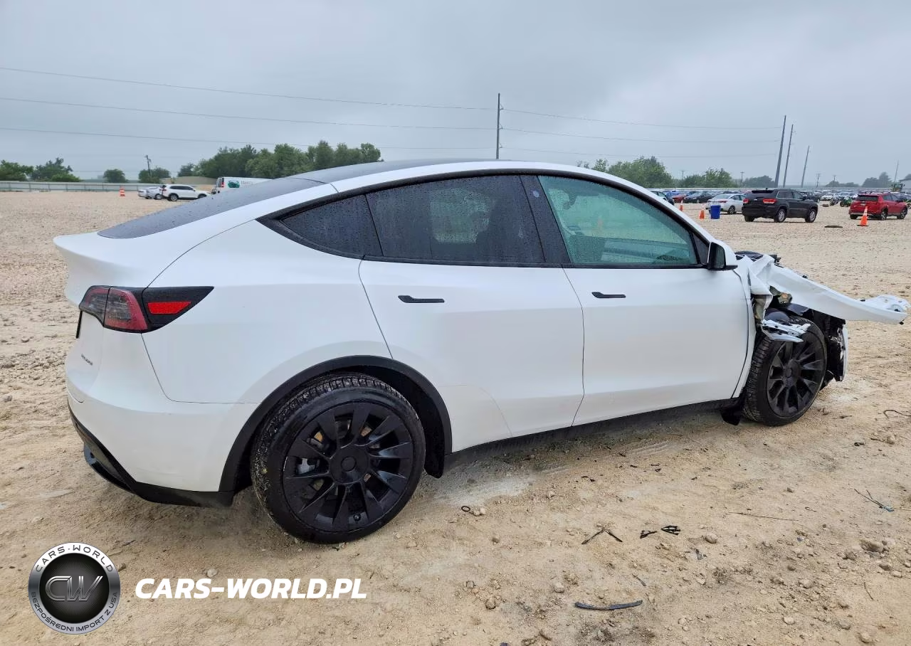 2023 Tesla Model Y VIN:7SAYGAEE8PF692239 - 3