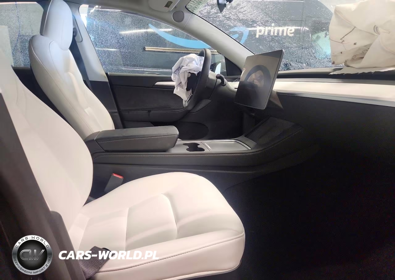 2023 Tesla Model Y VIN:7SAYGDEE2PF610247 - 10