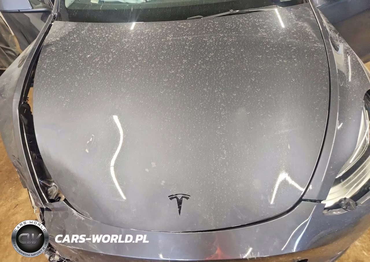 2023 Tesla Model Y VIN:7SAYGDEE2PF610247 - 11