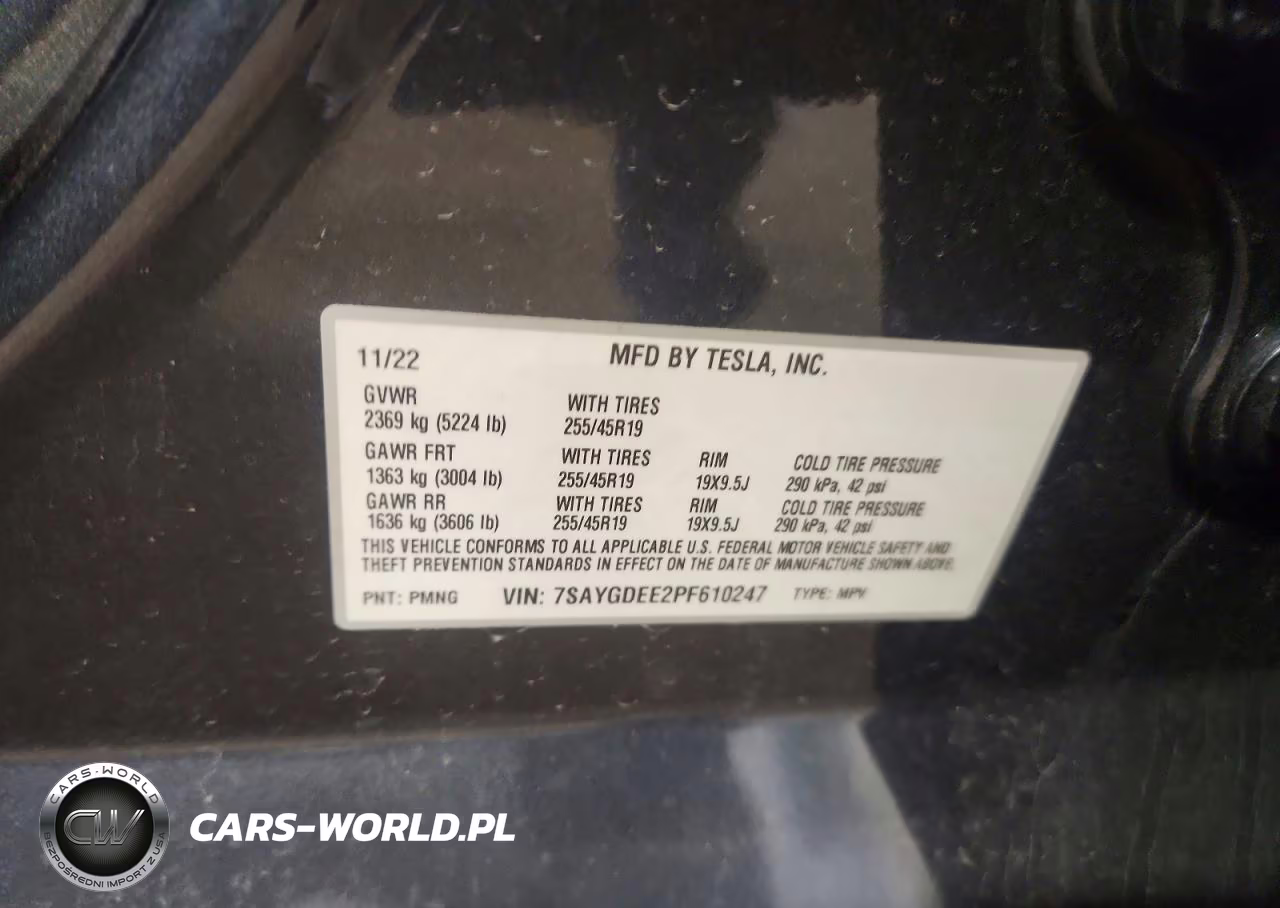 2023 Tesla Model Y VIN:7SAYGDEE2PF610247 - 12