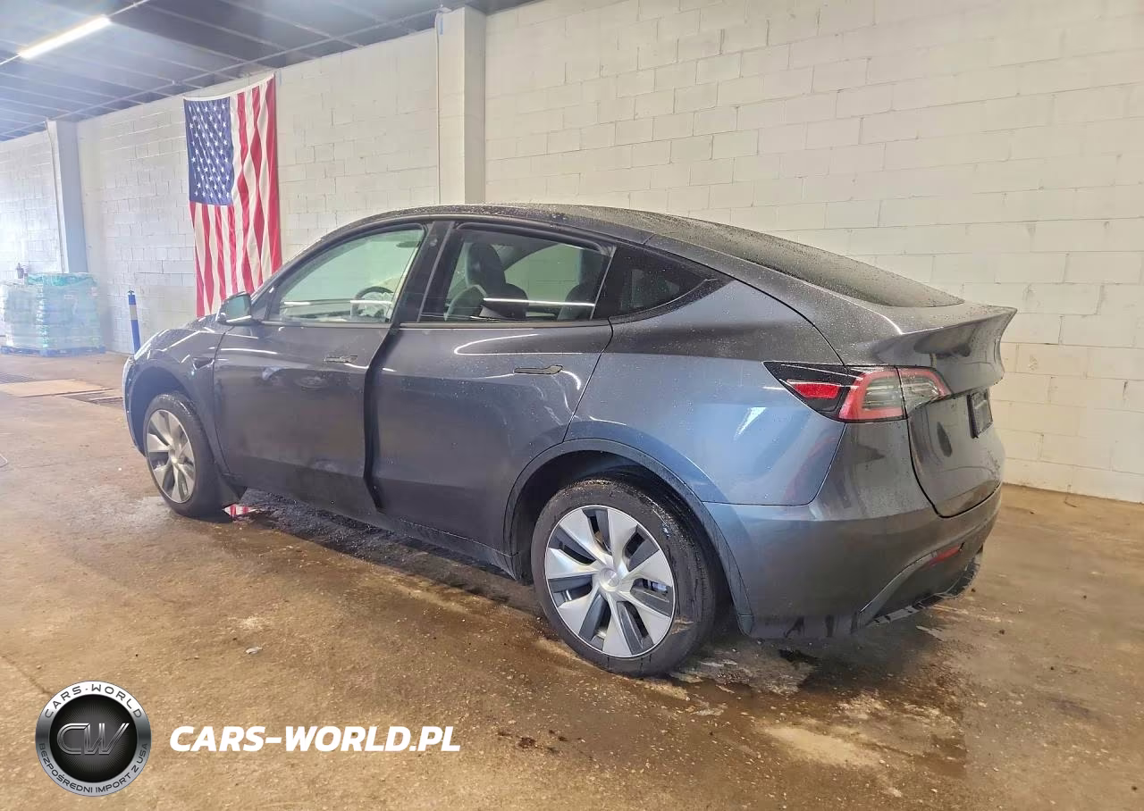 2023 Tesla Model Y VIN:7SAYGDEE2PF610247 - 2