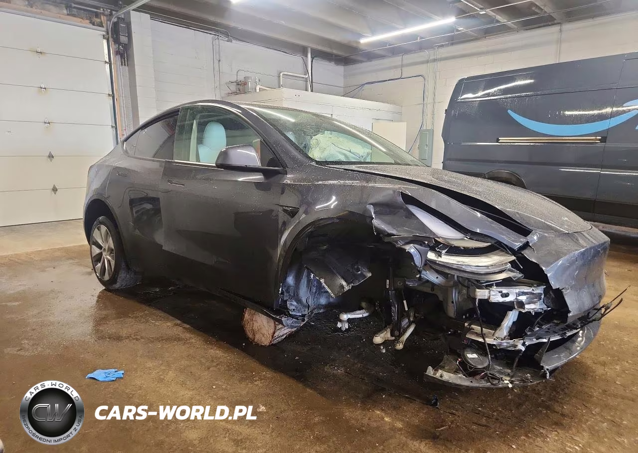 2023 Tesla Model Y VIN:7SAYGDEE2PF610247 - 4