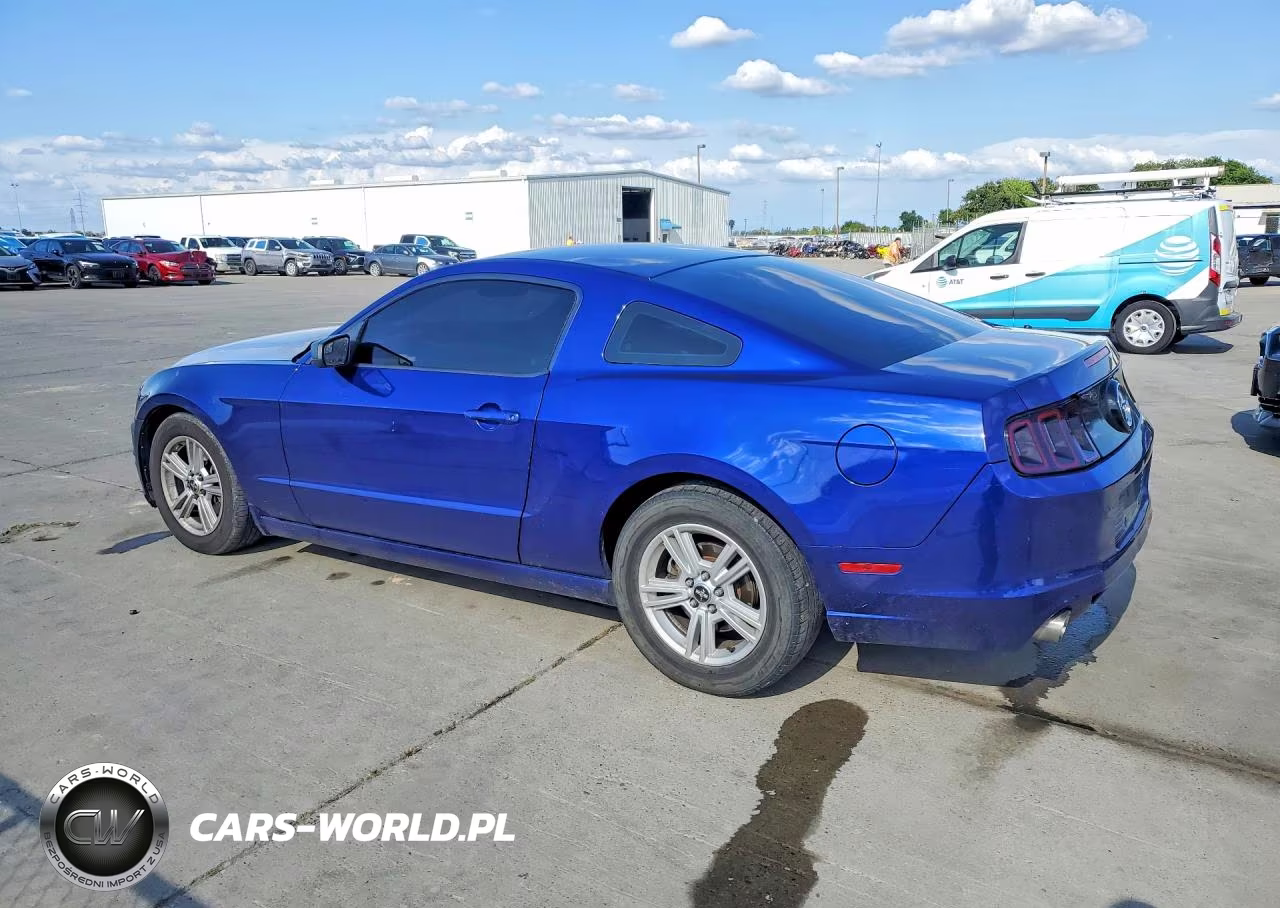 2014 Ford Mustang VIN:1ZVBP8AM7E5304275 - 2
