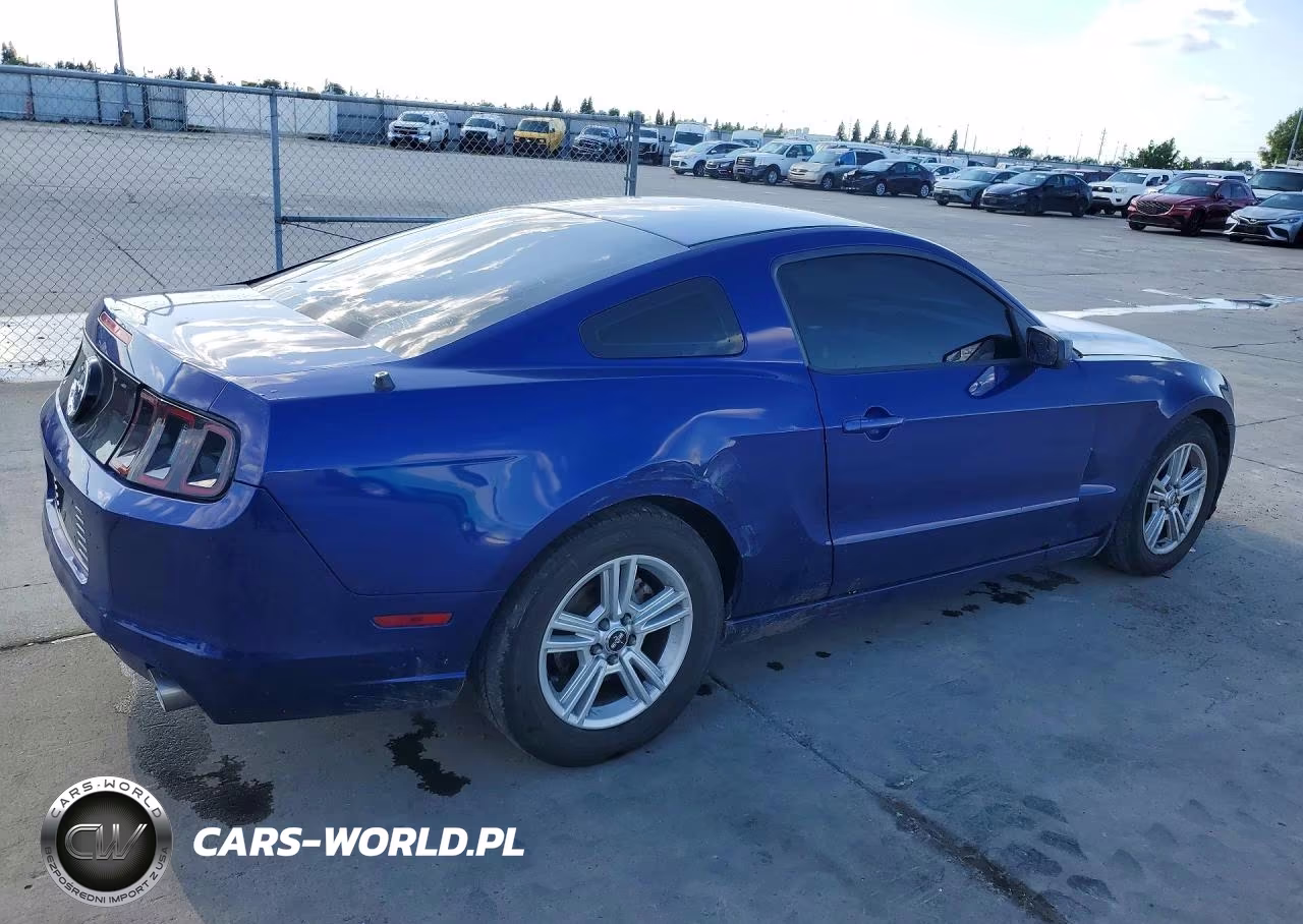 2014 Ford Mustang VIN:1ZVBP8AM7E5304275 - 3