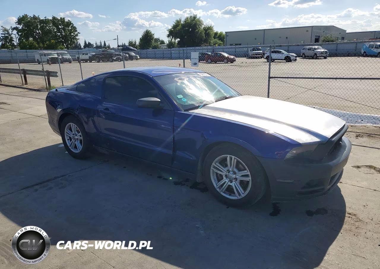 2014 Ford Mustang VIN:1ZVBP8AM7E5304275 - 4