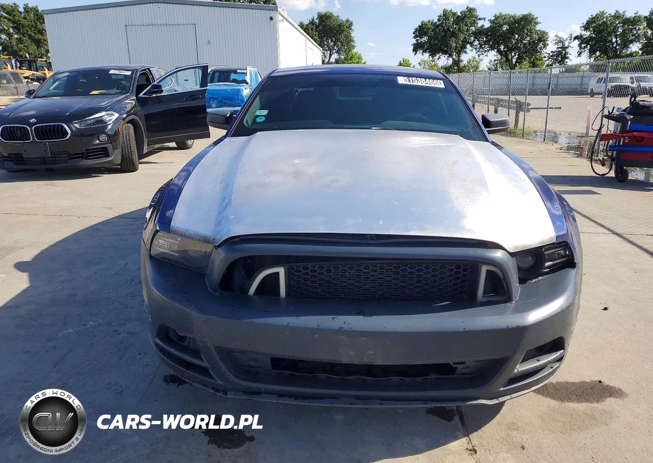 2014 Ford Mustang VIN:1ZVBP8AM7E5304275 - 5