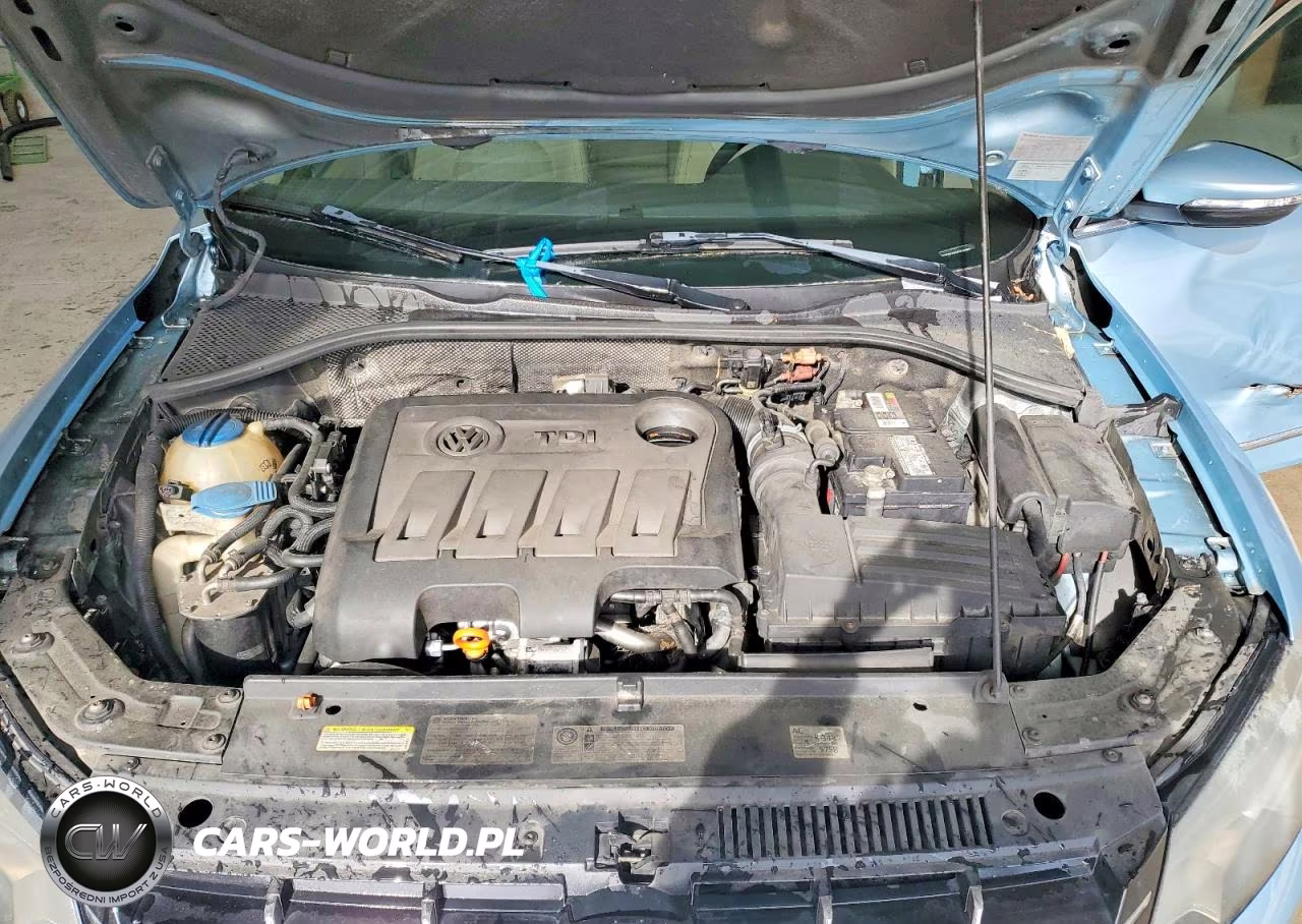 2012 Volkswagen Passat Sel VIN:1VWCN7A31CC020063 - 11