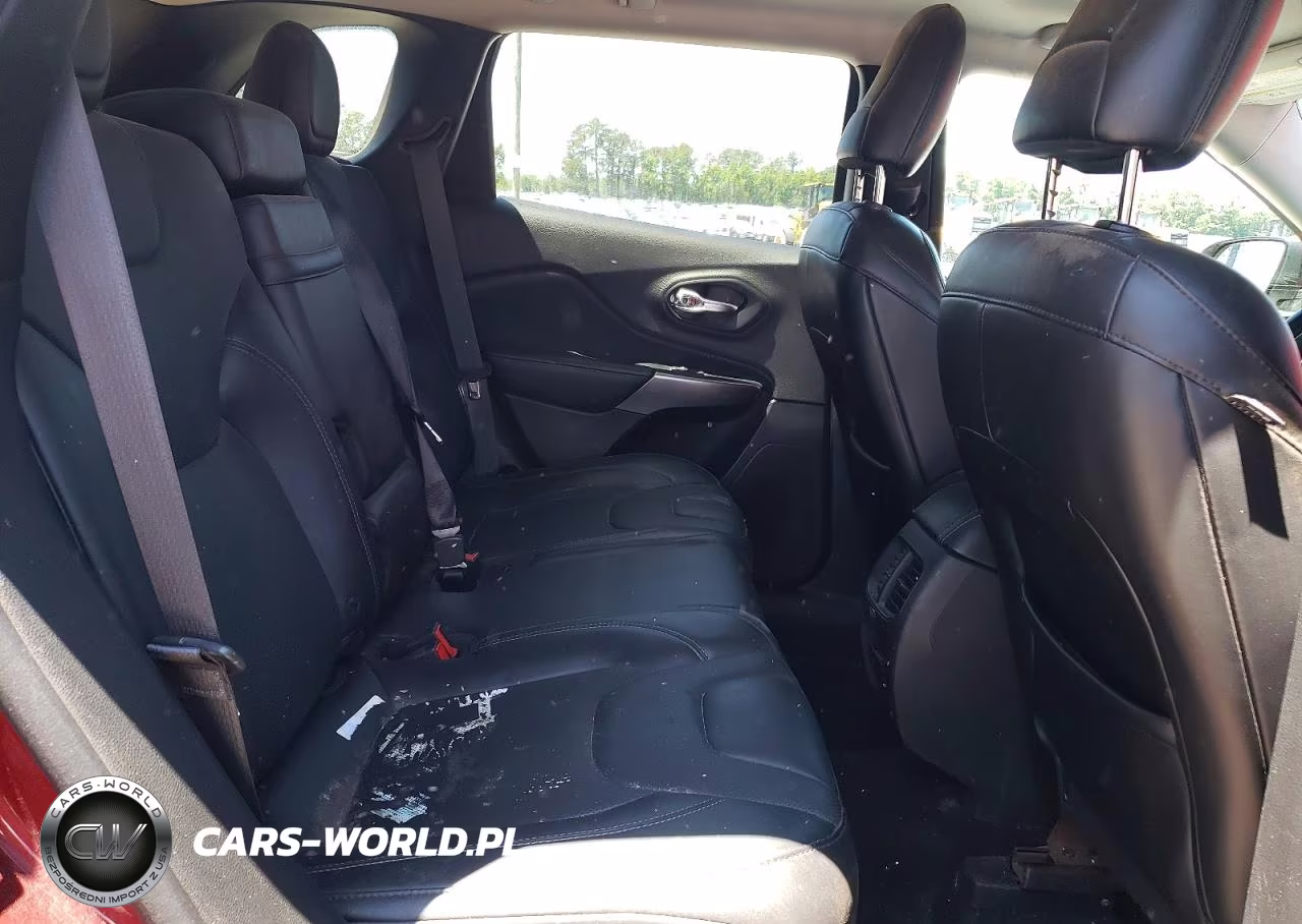 2019 Jeep Cherokee Limited VIN:1C4PJLDB5KD402990 - 11