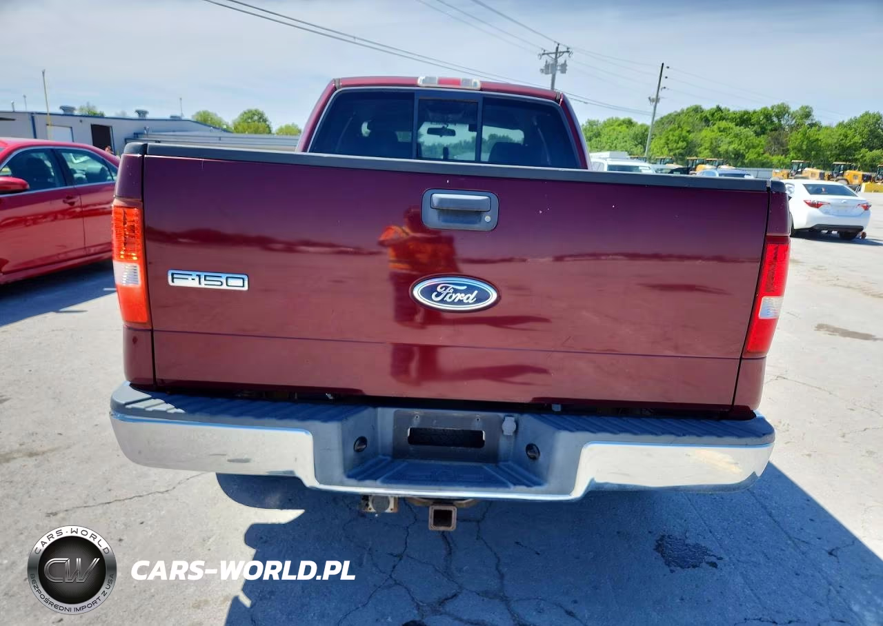 2004 Ford F-150 VIN:1FTPX12544NA65970 - 6