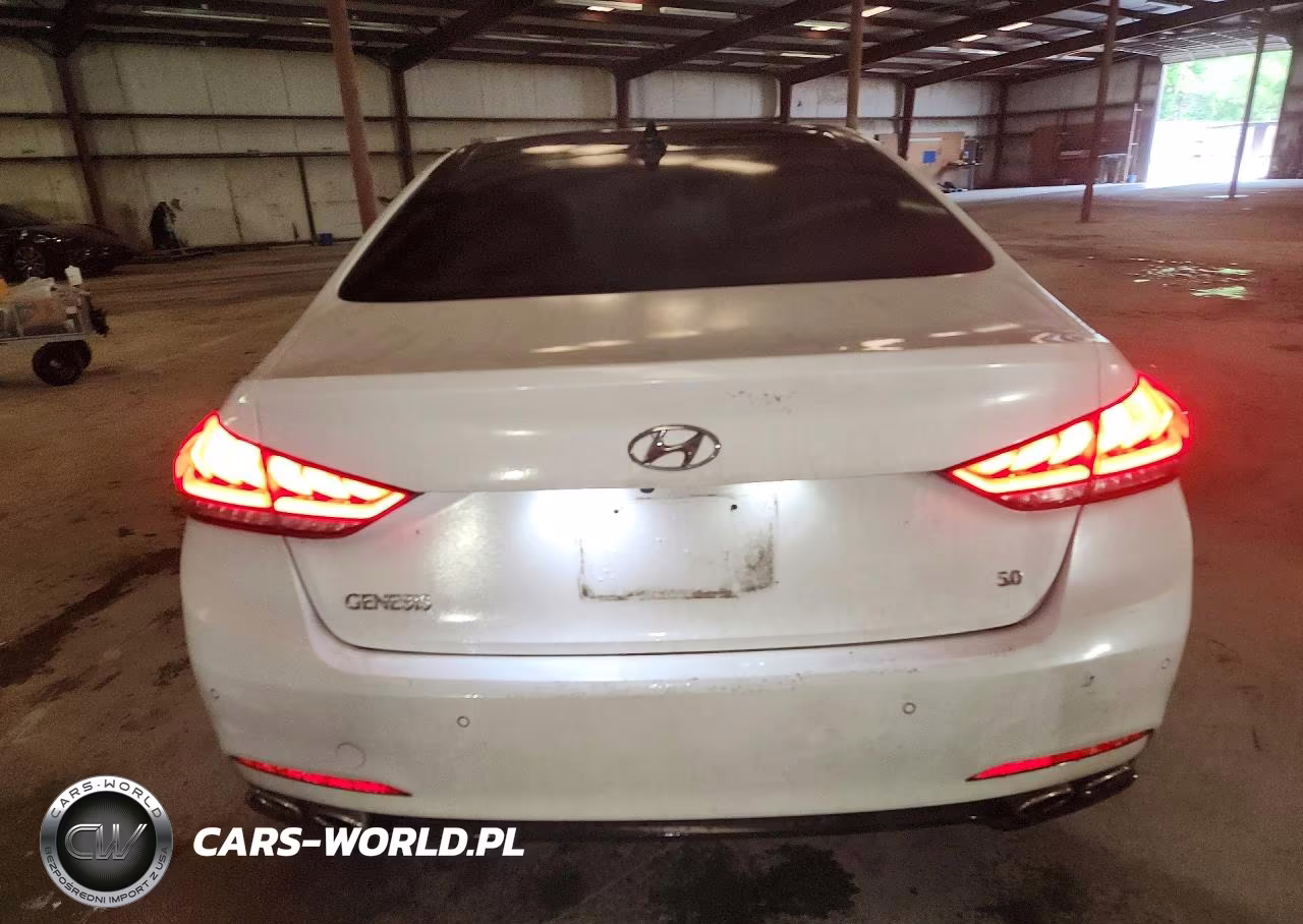 2015 Hyundai Genesis 5.0L VIN:KMHGN4JFXFU070502 - 6