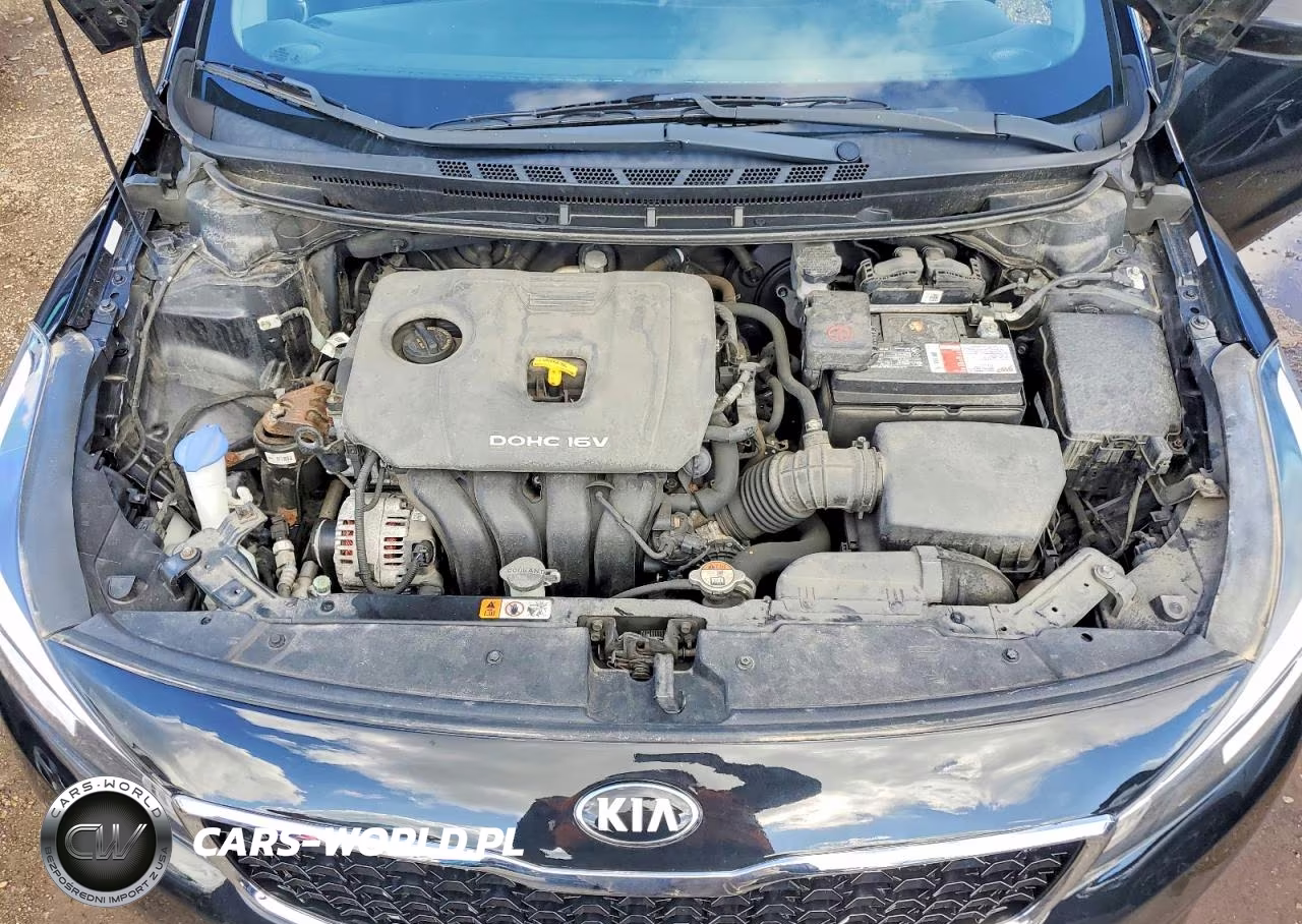 2017 Kia Forte Lx VIN:3KPFL4A78HE089162 - 11