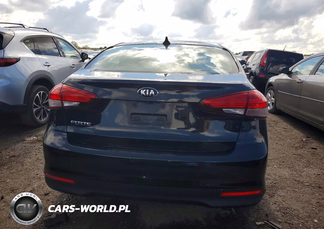 2017 Kia Forte Lx VIN:3KPFL4A78HE089162 - 6