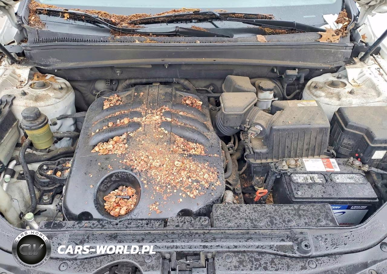 2008 Hyundai Santa Fe Se VIN:5NMSH13E48H219053 - 12