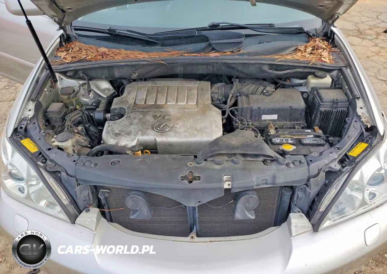 2007 Lexus Rx 350 VIN:2T2HK31U97C007430 - 12