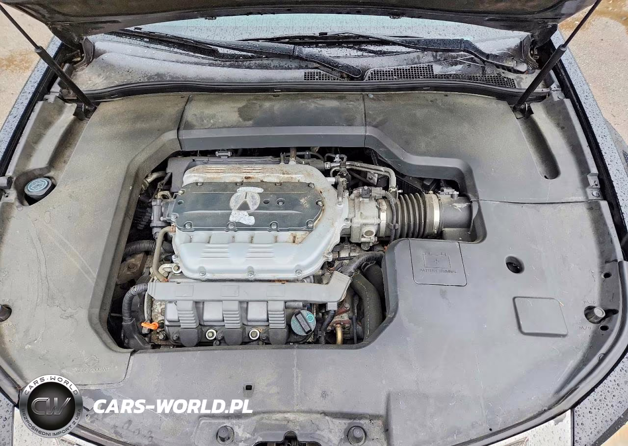 2010 Acura Tl VIN:19UUA9F57AA002315 - 11