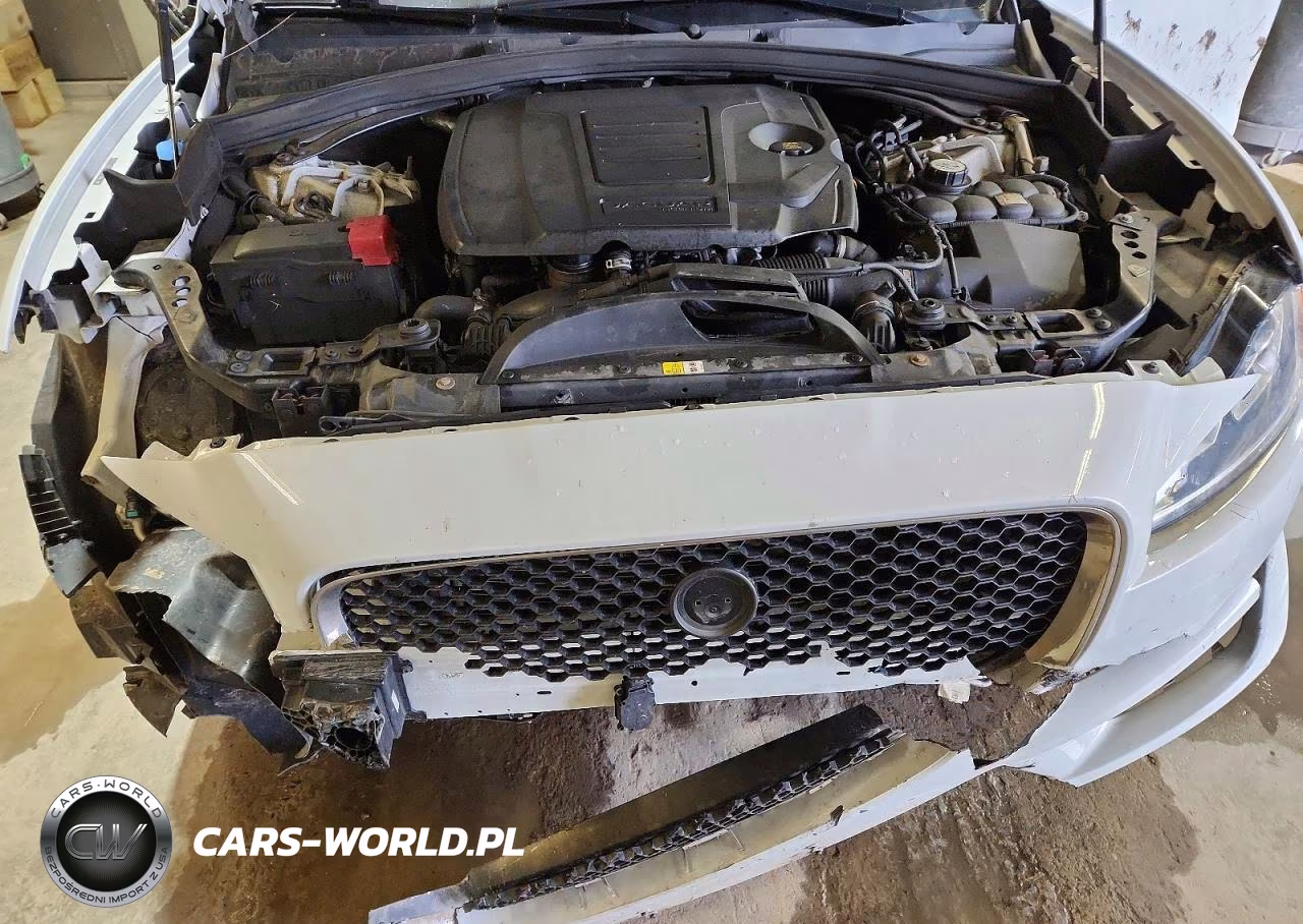 2018 Jaguar F-Pace Premium VIN:SADCJ2GX3JA238188 - 12