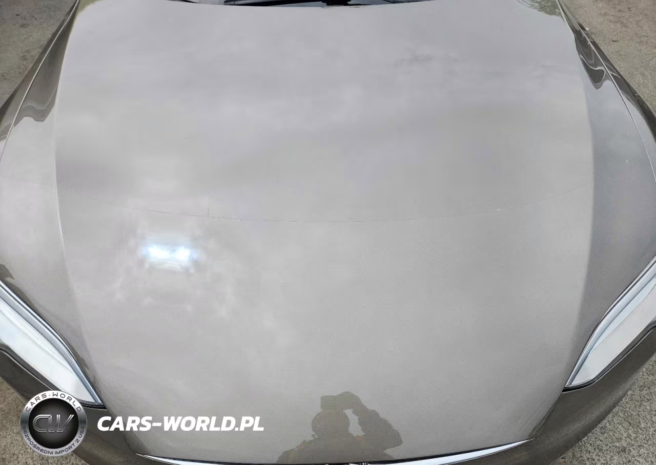 2016 Tesla Model S VIN:5YJSA1E1XGF159181 - 11