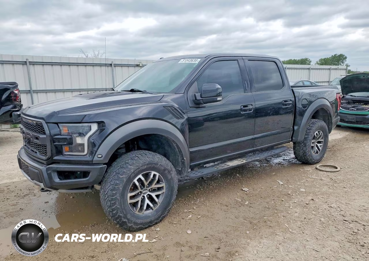 2018 Ford F150 Raptor