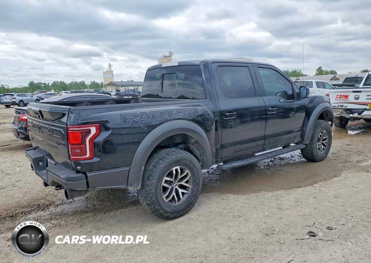 2018 Ford F150 Raptor VIN:1FTFW1RG2JFC14999 - 3