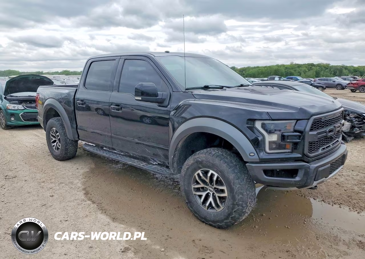 2018 Ford F150 Raptor VIN:1FTFW1RG2JFC14999 - 4
