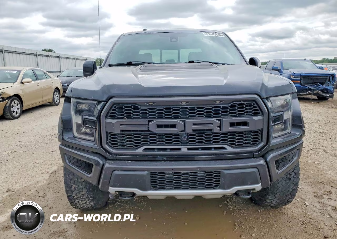 2018 Ford F150 Raptor VIN:1FTFW1RG2JFC14999 - 5